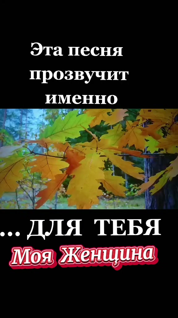 @Сергей