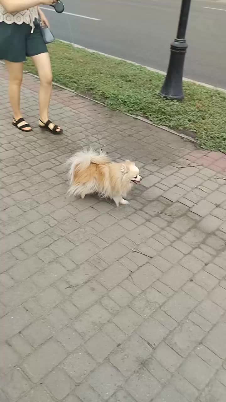 @Виталий