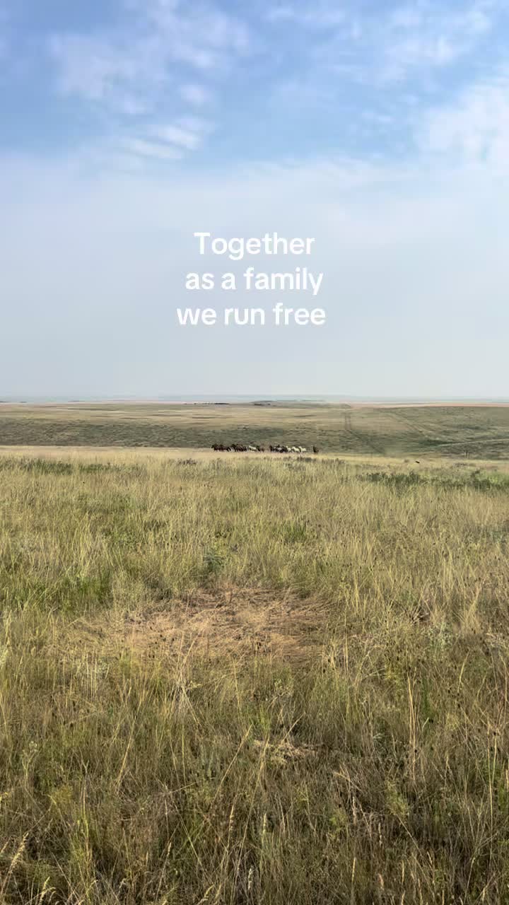 @RewildingAmericaNow