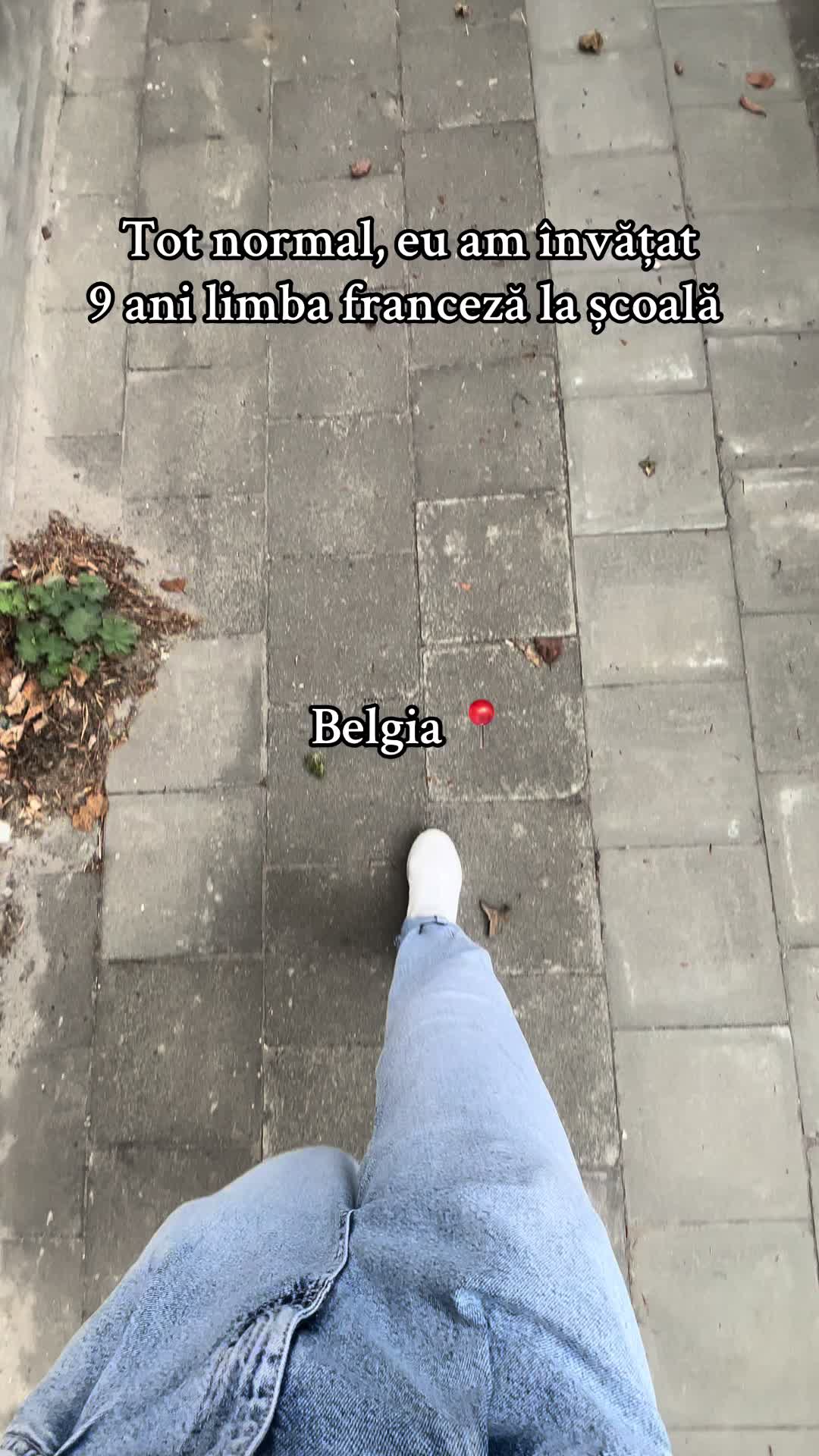 @Anișoara 