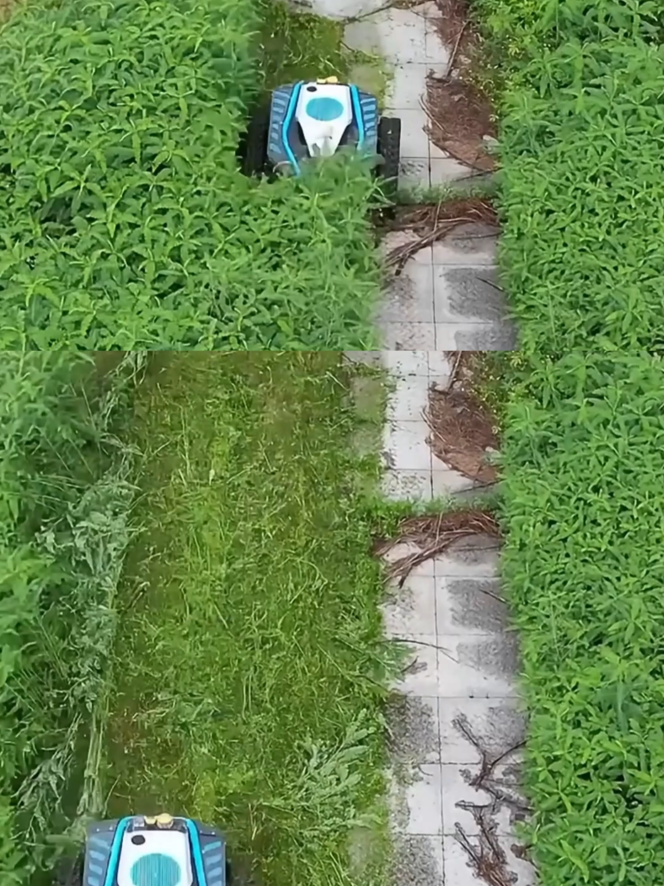 @부러쇼핑