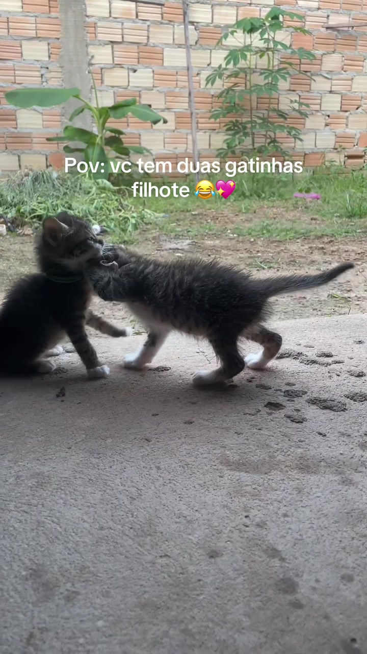 @Vih🫦