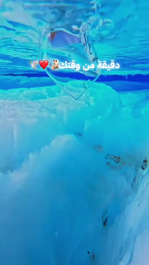 @لا اله إلا الله 💚🕊️