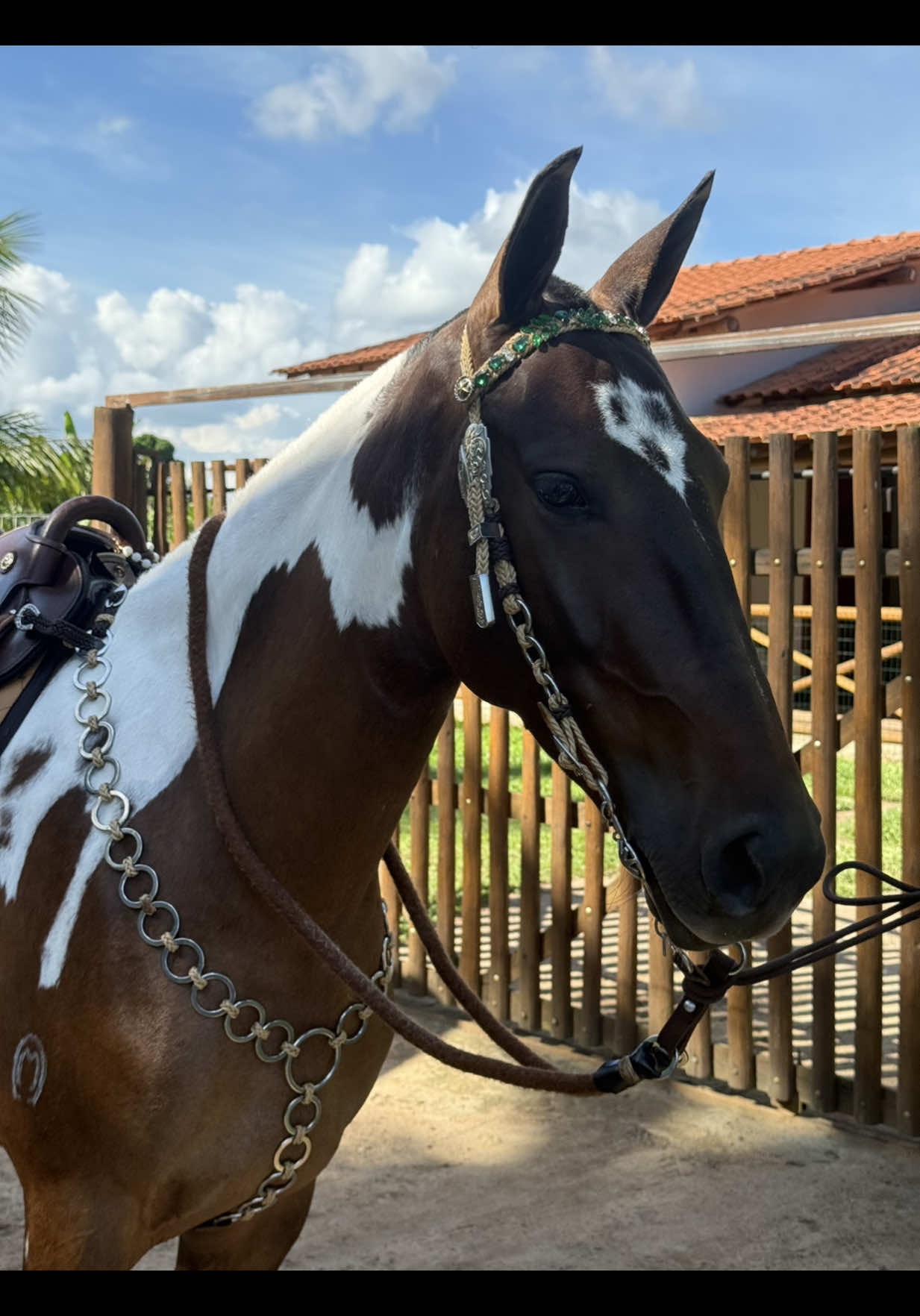 @Talili Mathias