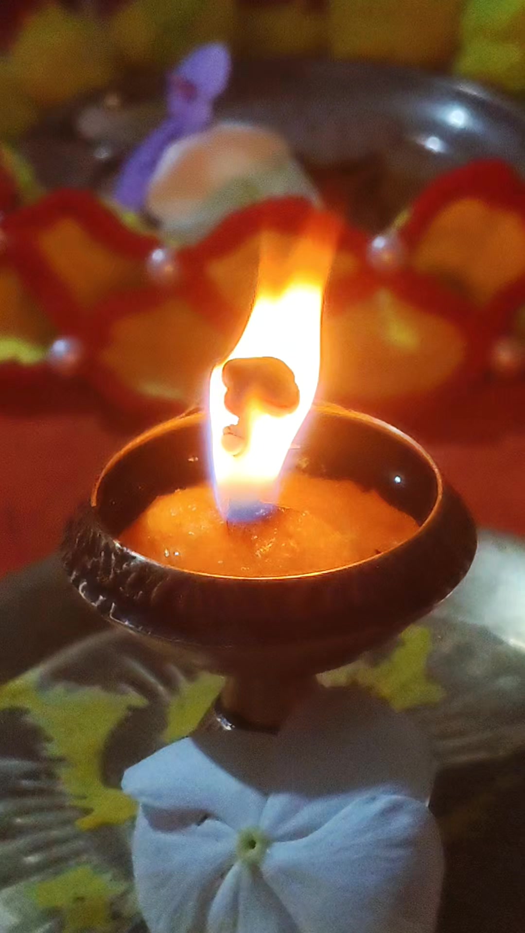 @Amrita Mahaseth