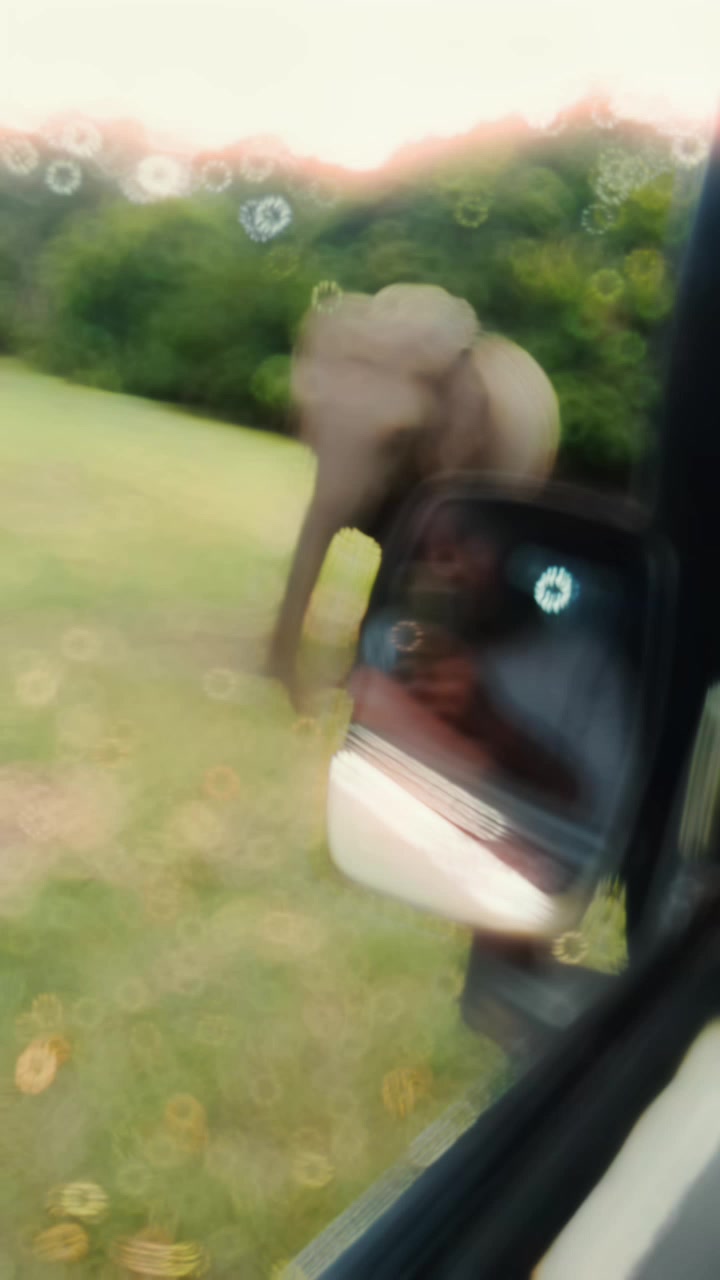 @A N O J