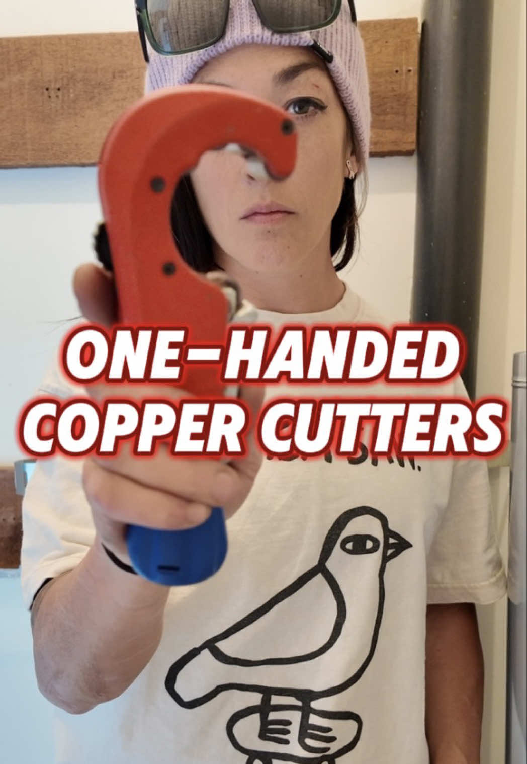 @the_ladyplumber
