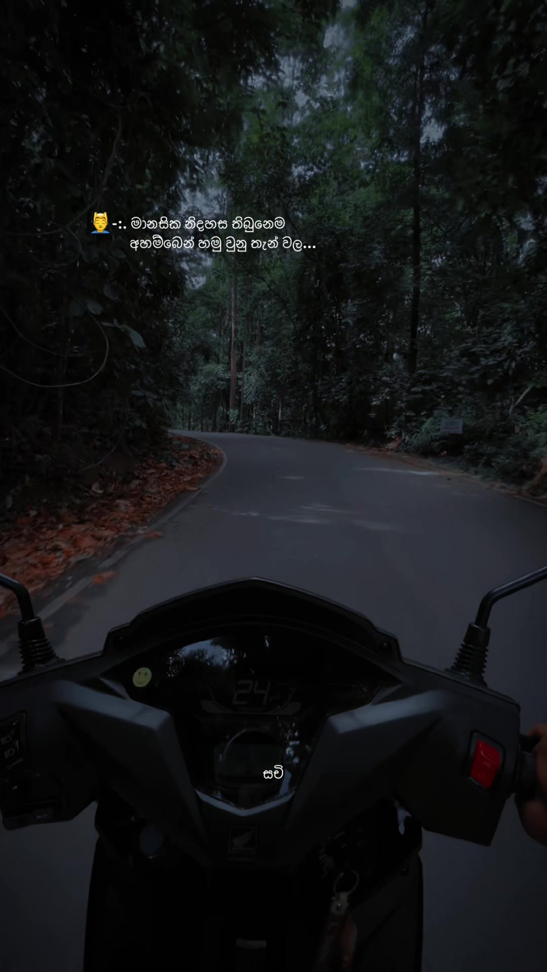 @𝙎𝗮𝗰𝗵𝗶 ┃ සචි 〲☸️🇯🇵