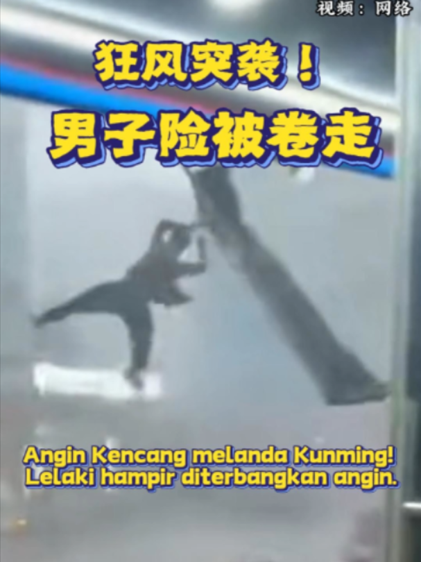 @中国报