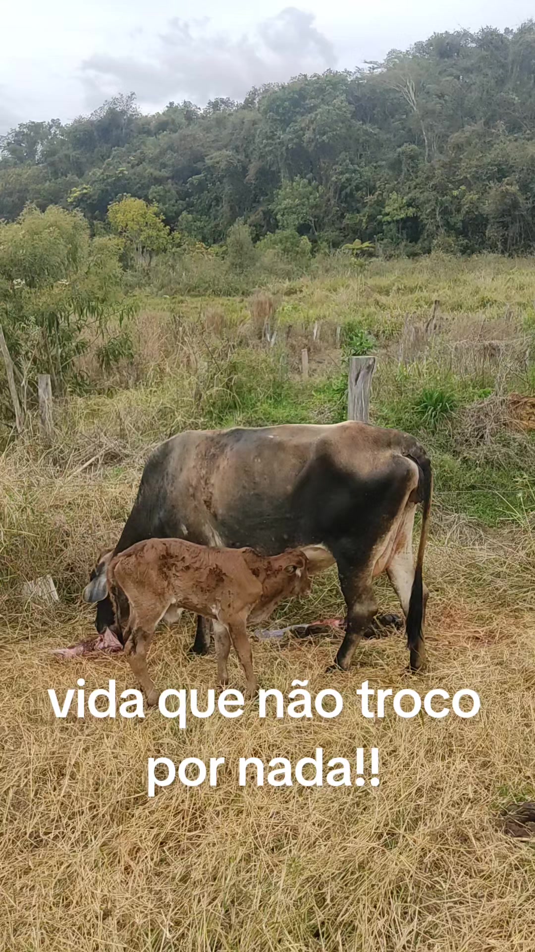 @mariamarciaoliv57
