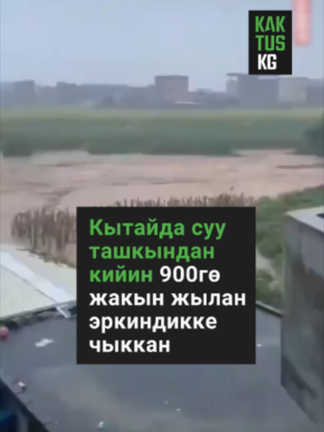 @Kaktus KG