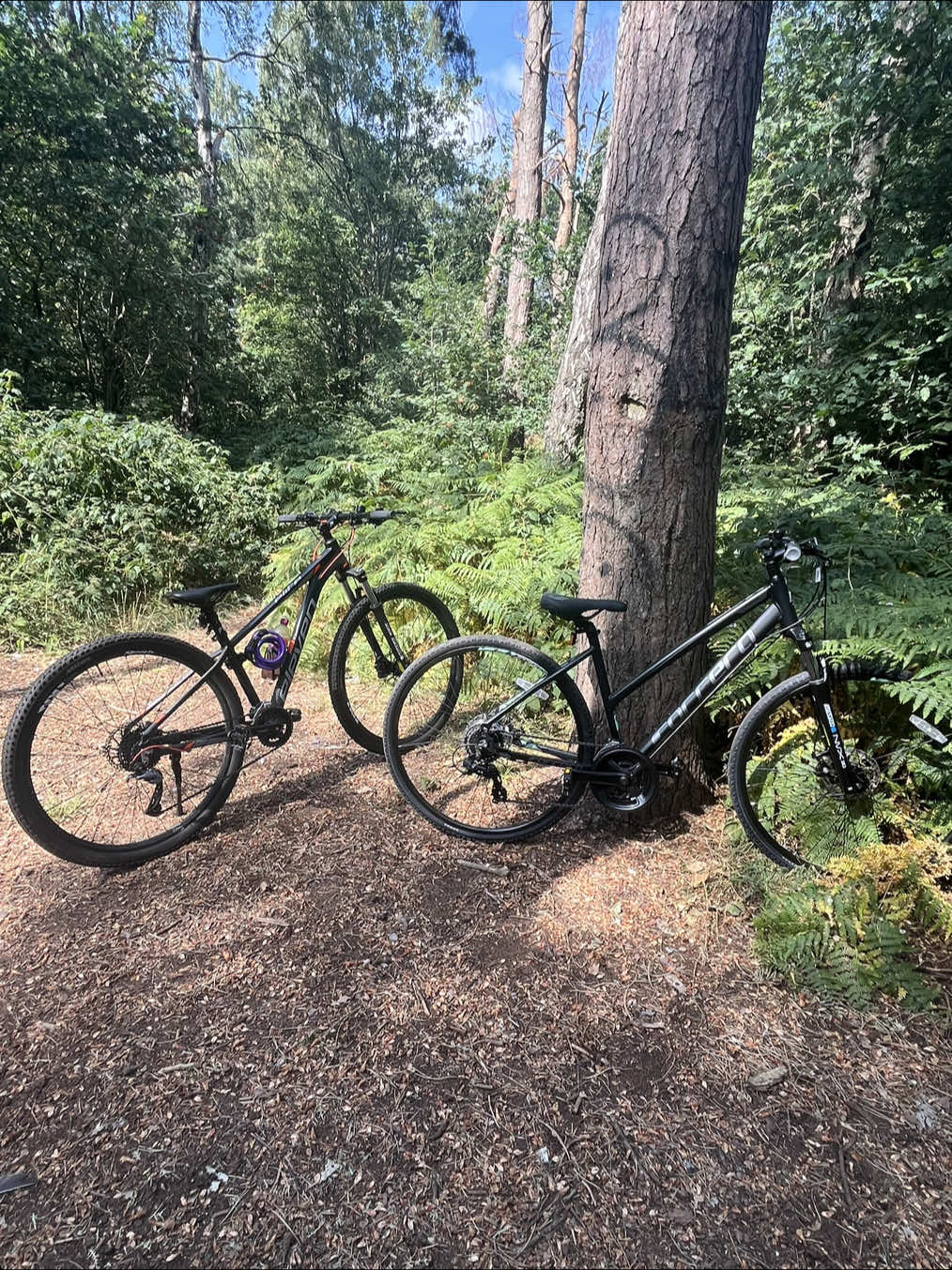 @galypopsbiking