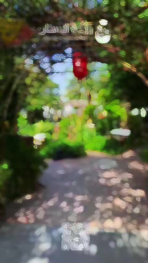 @منتجع وردة البستان🪷☘️.