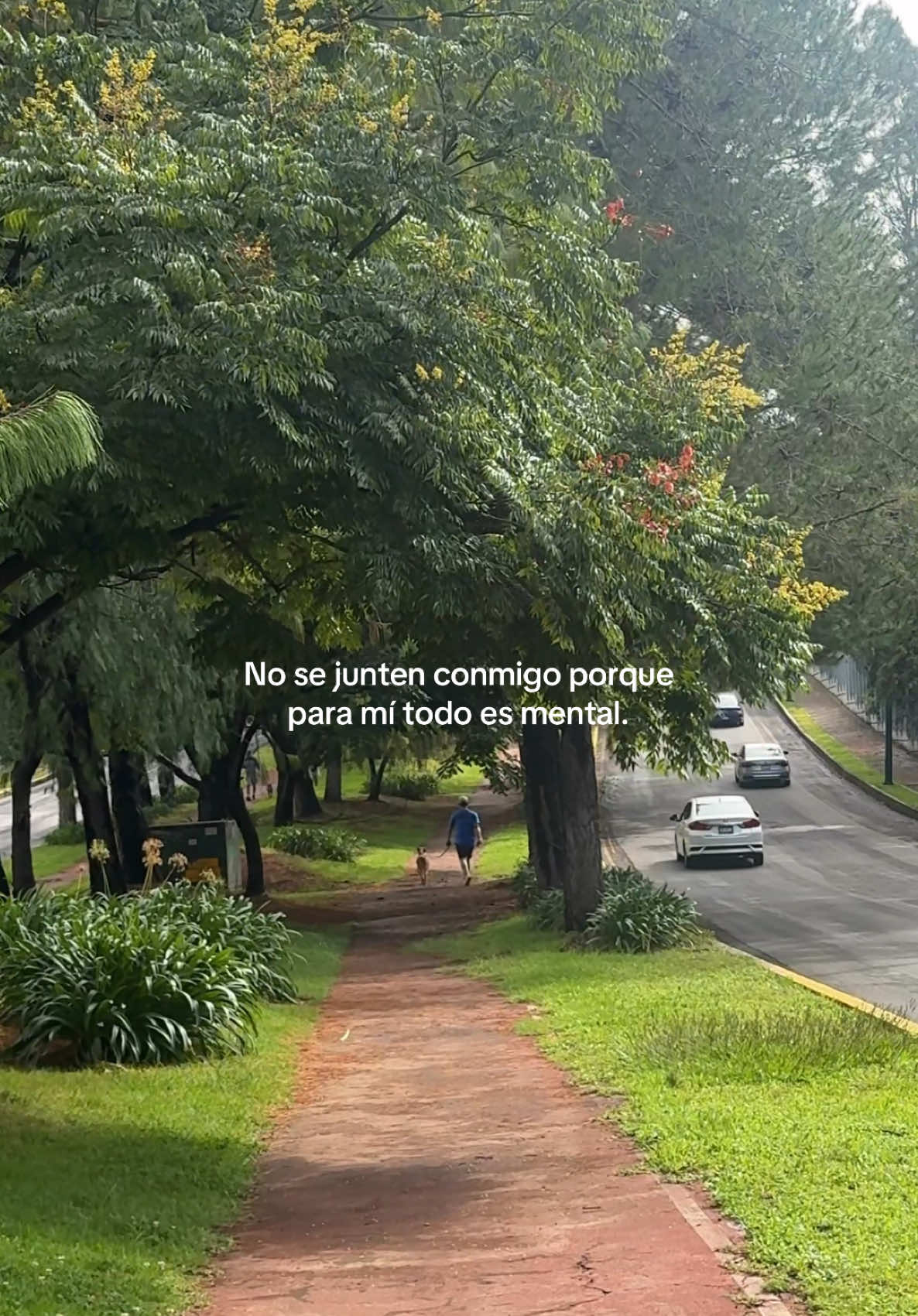 @Montglez