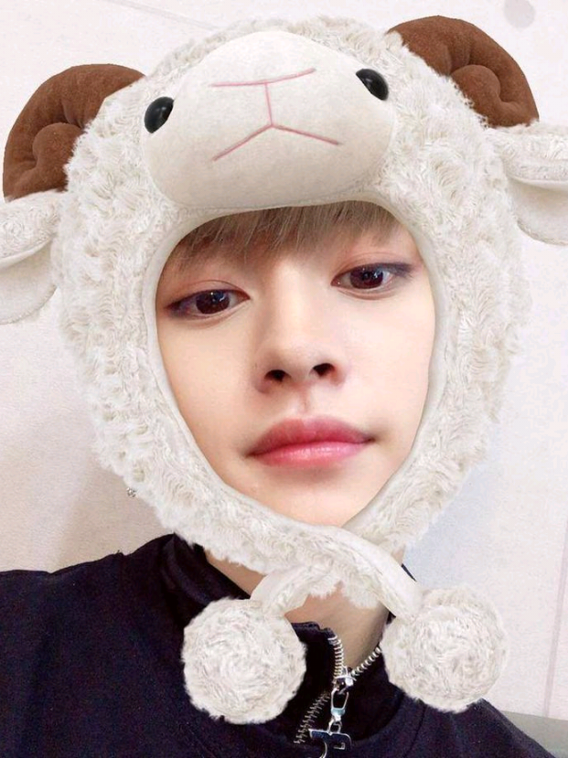 @minhoco 🐰💯