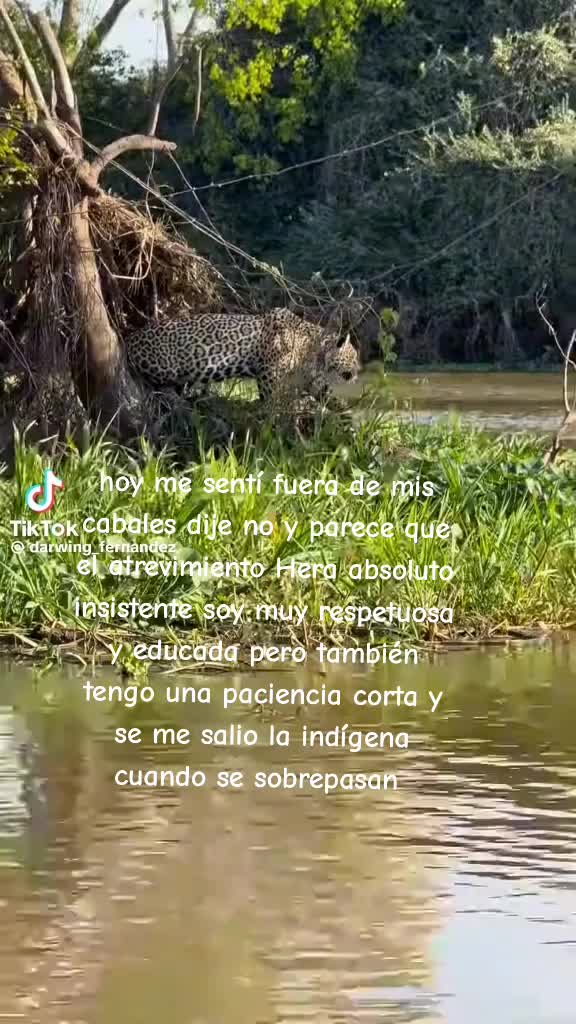 @Azulcanela27