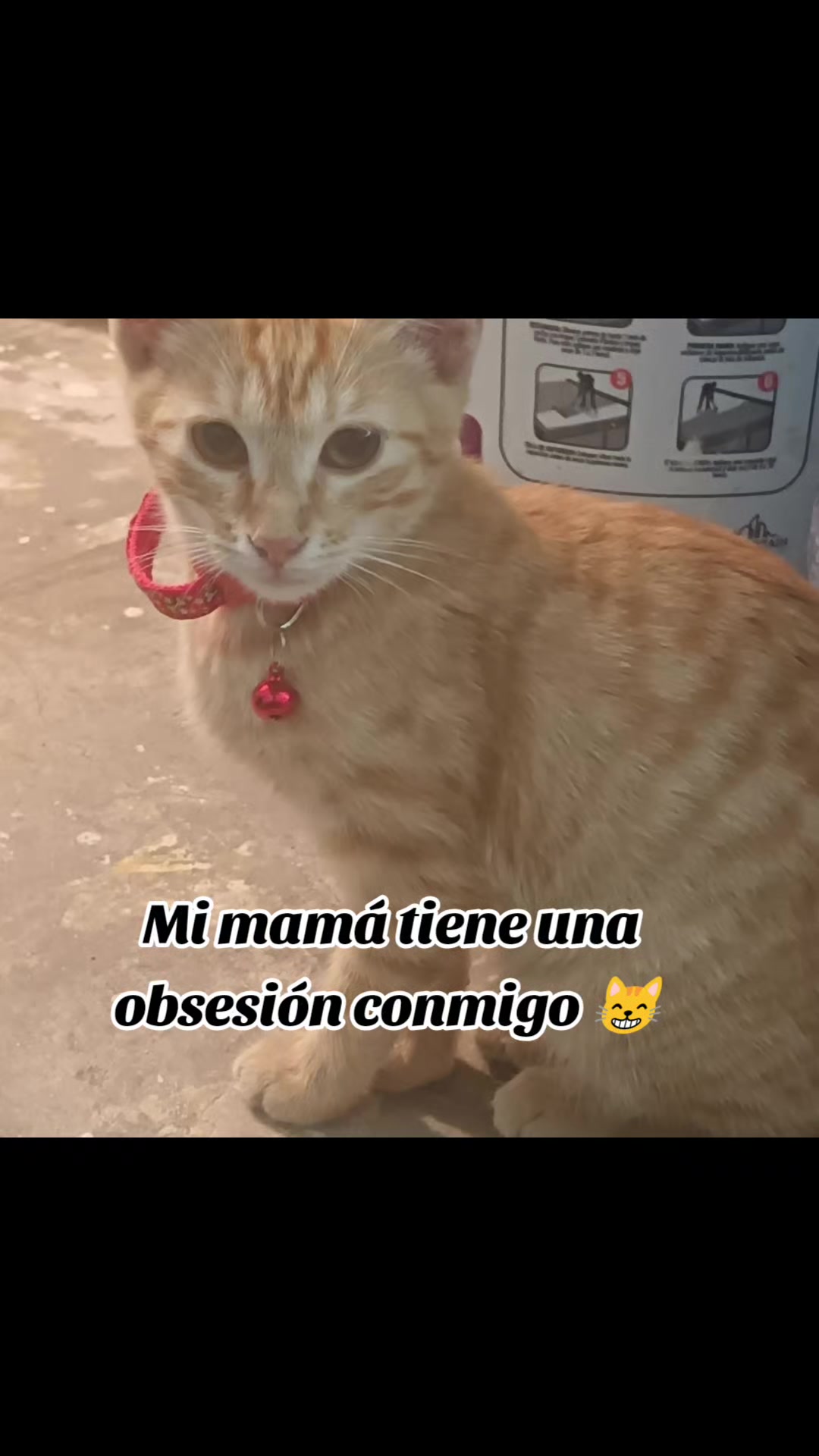 @Joss Elías