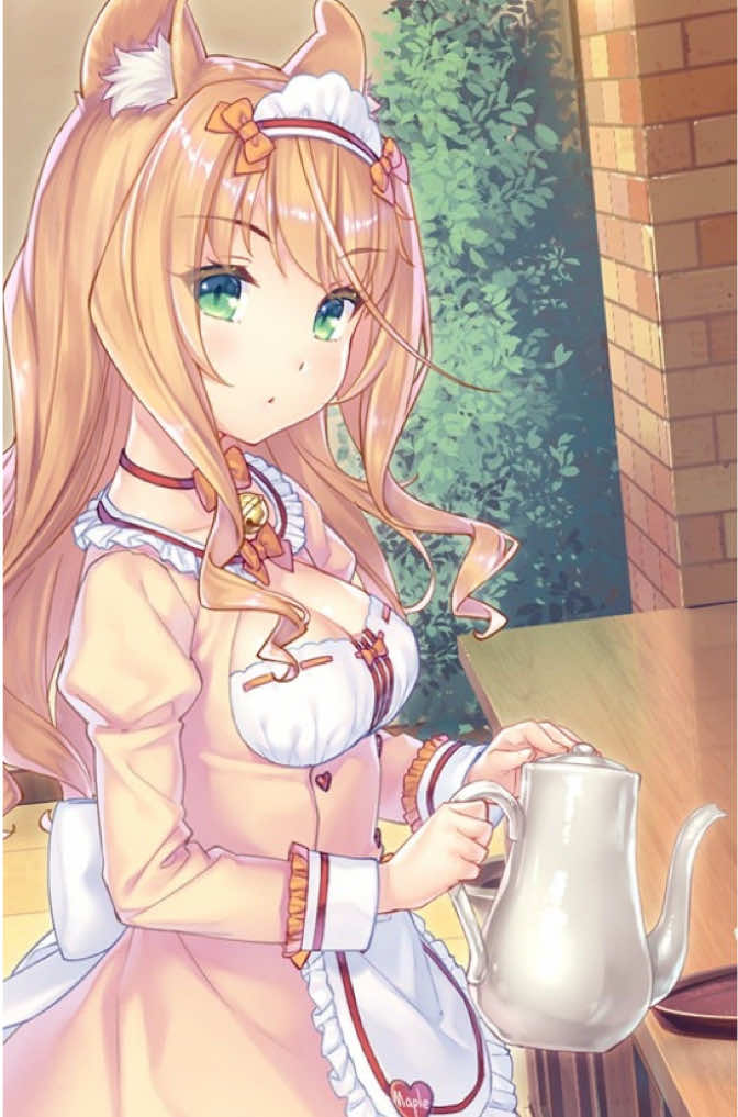 @猫 ෆ