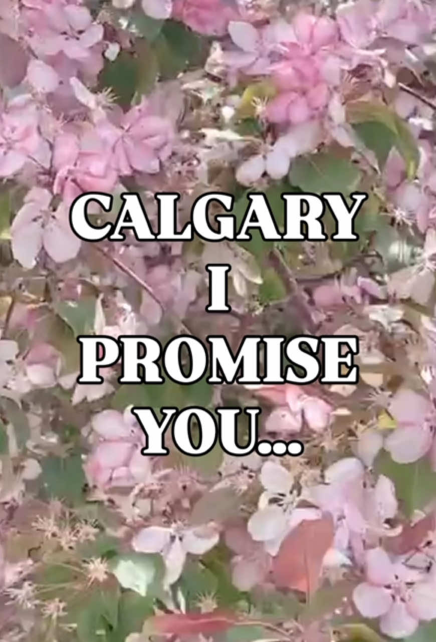 @Airdrie & Calgary Photographer