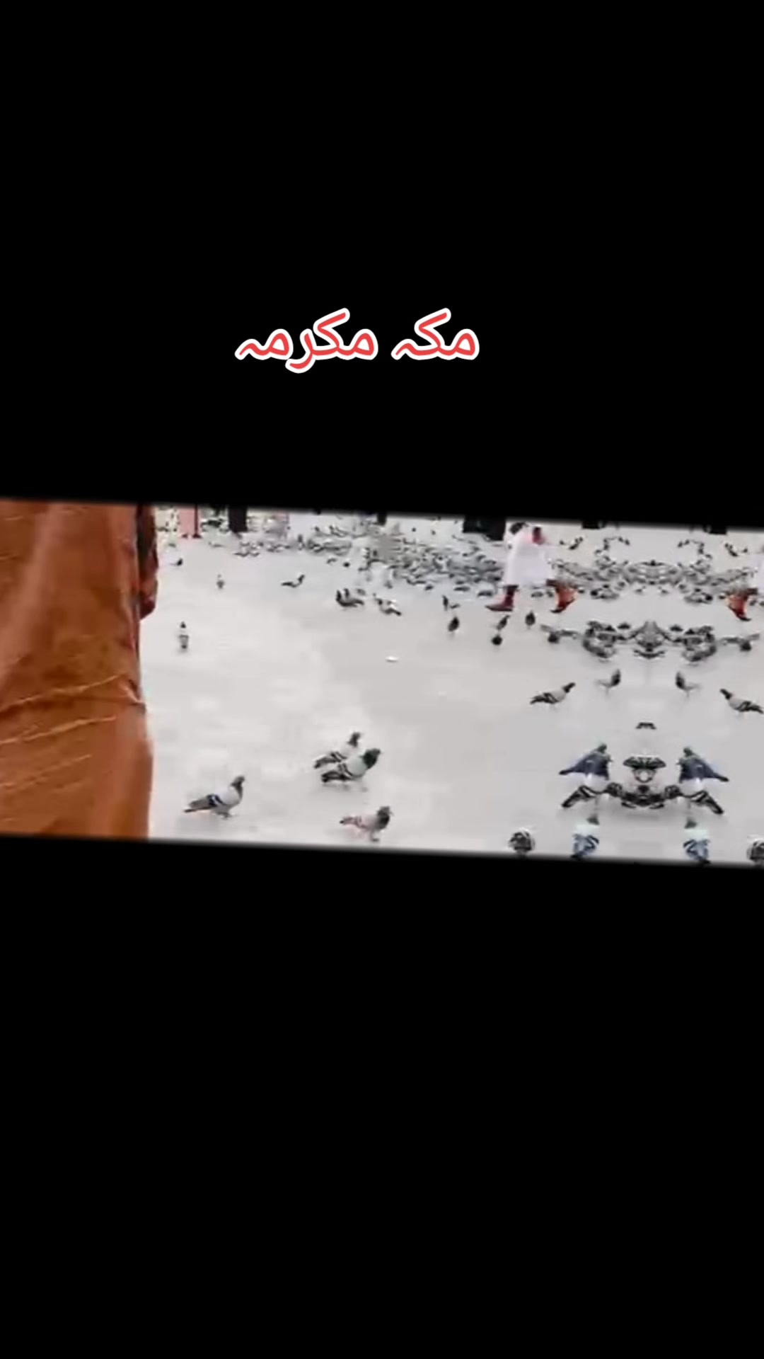 @zawarbilawalzarda