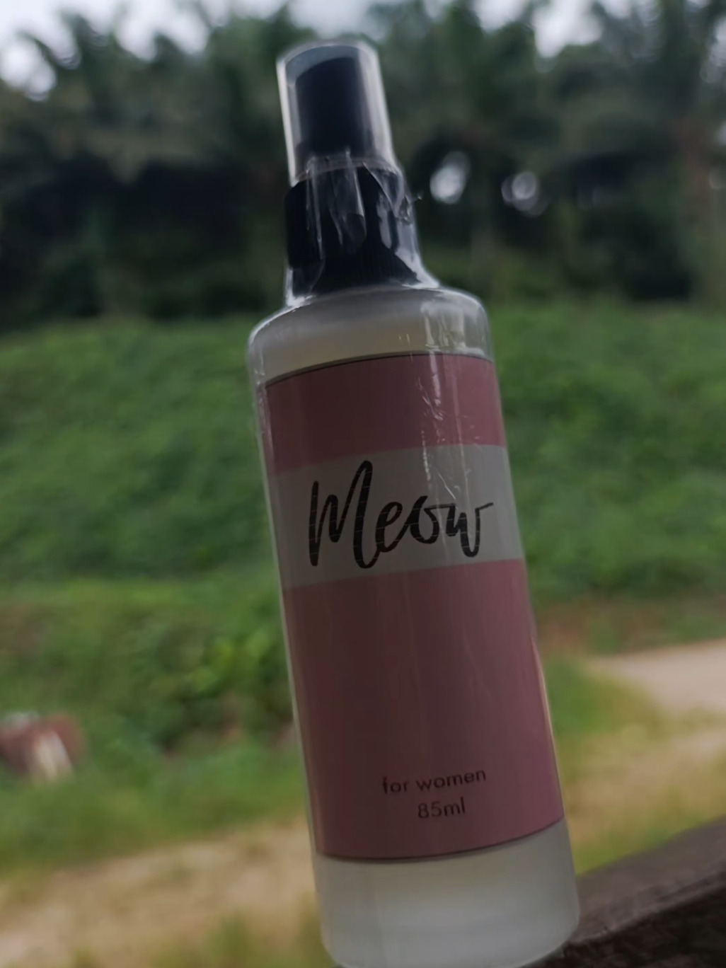 @jecil🛒🌺