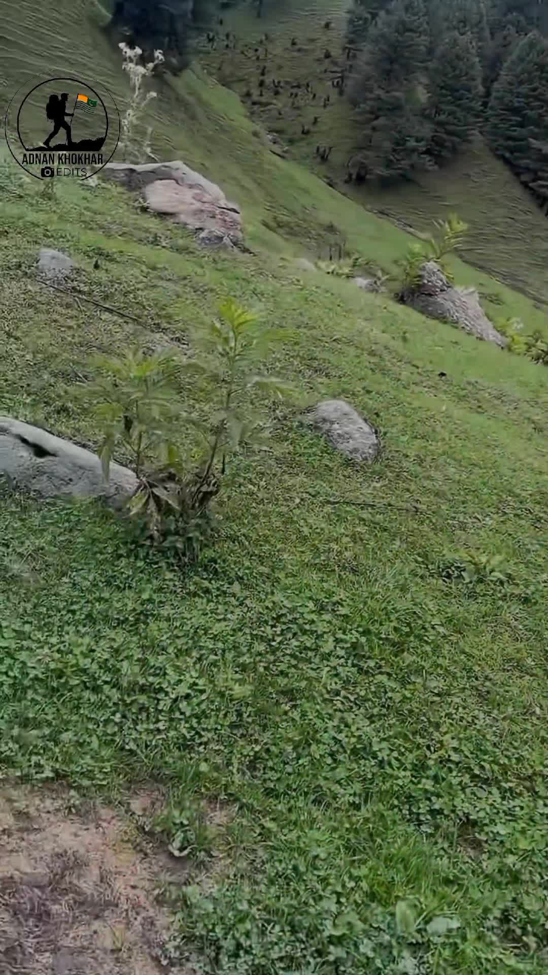 @Khokhar Sarkar 🦅