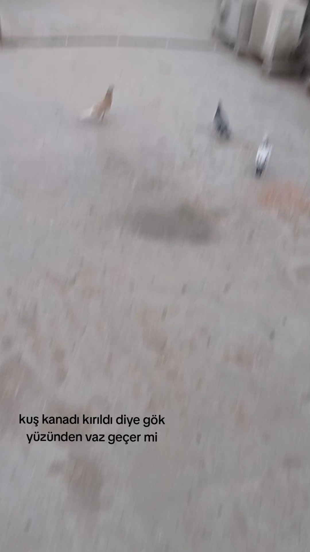 @deniz kayıkcı 73