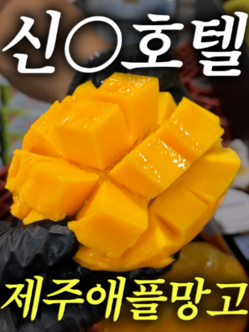 @해운대송사장