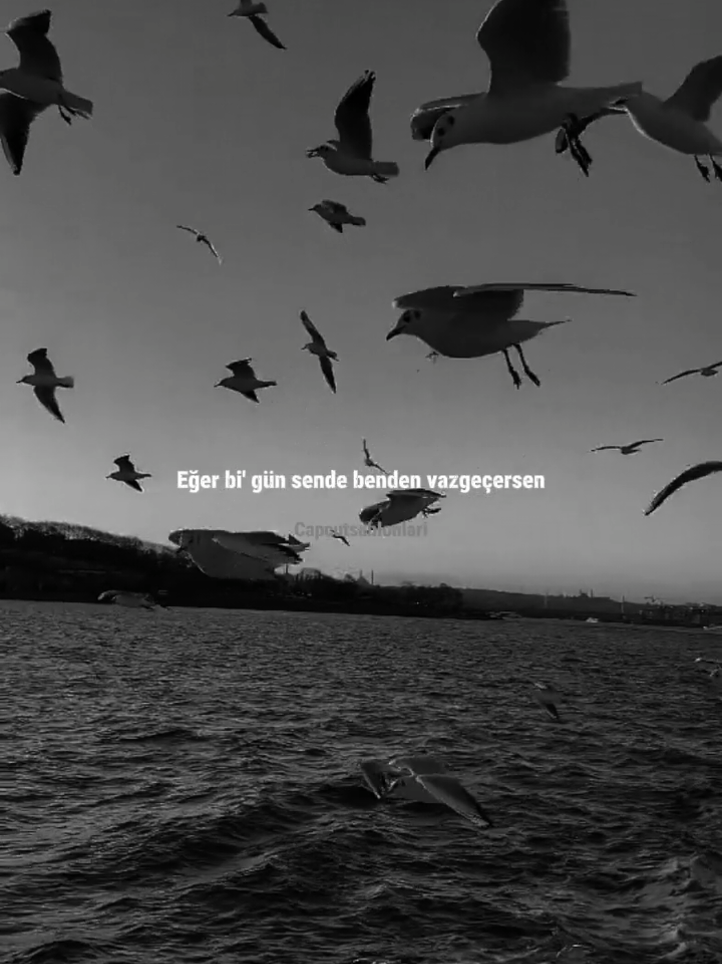 @Capcut Şablonları