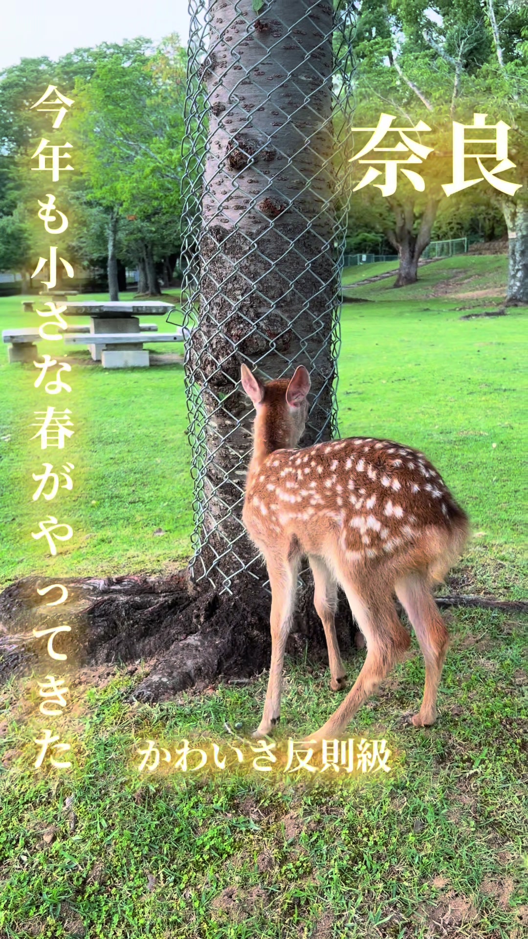 @寝不足夜更かしバリトン
