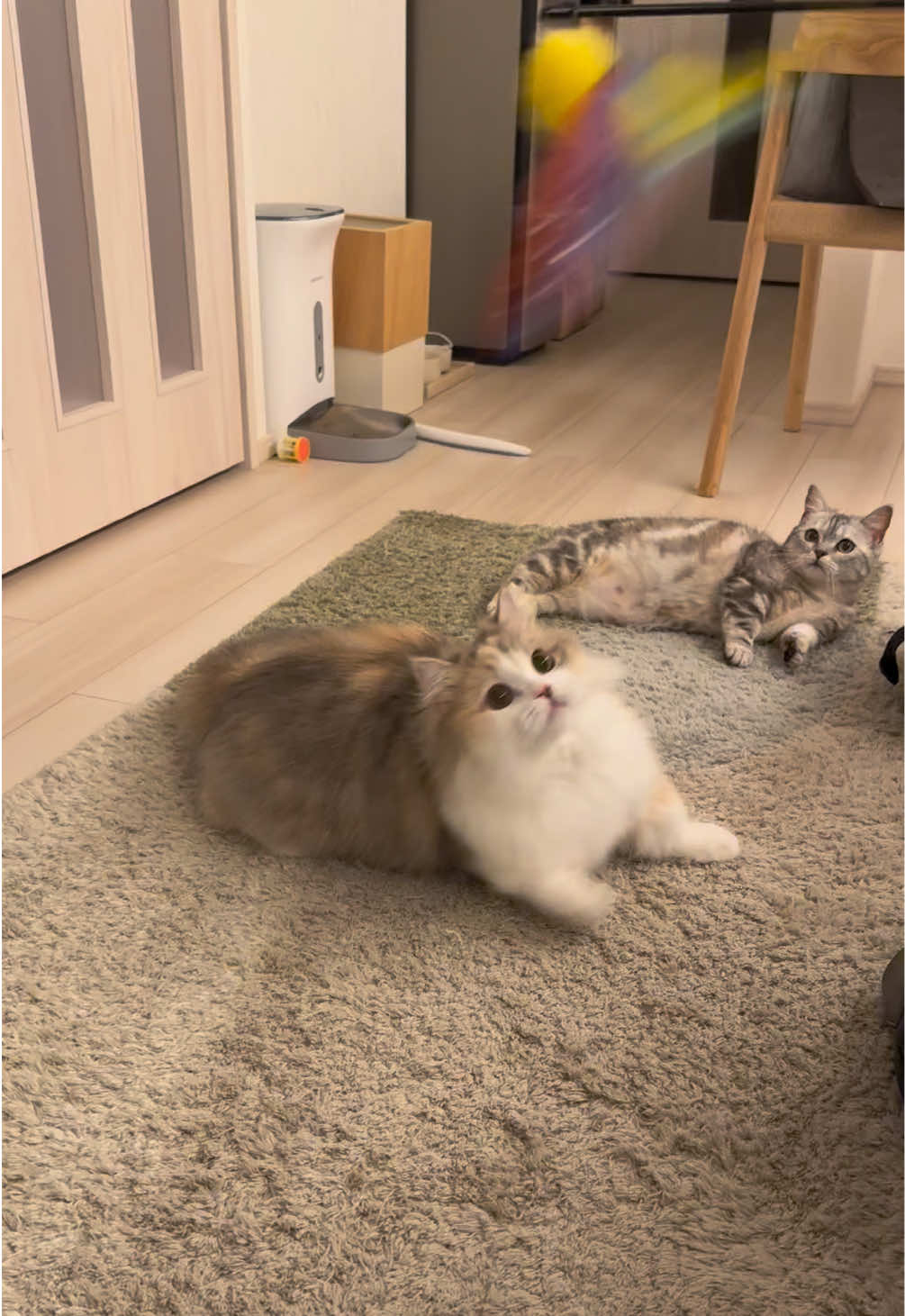@ややとゆゆ