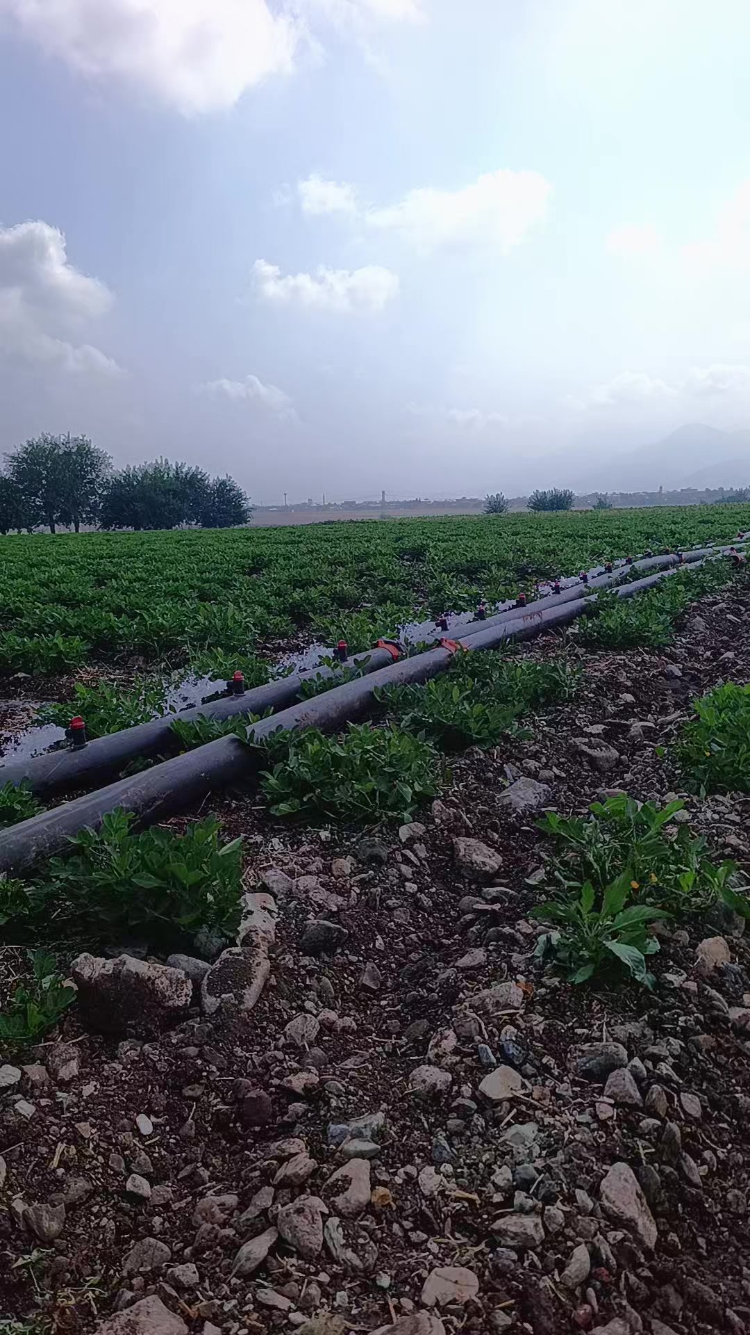 @ilyas Bayrambeğ