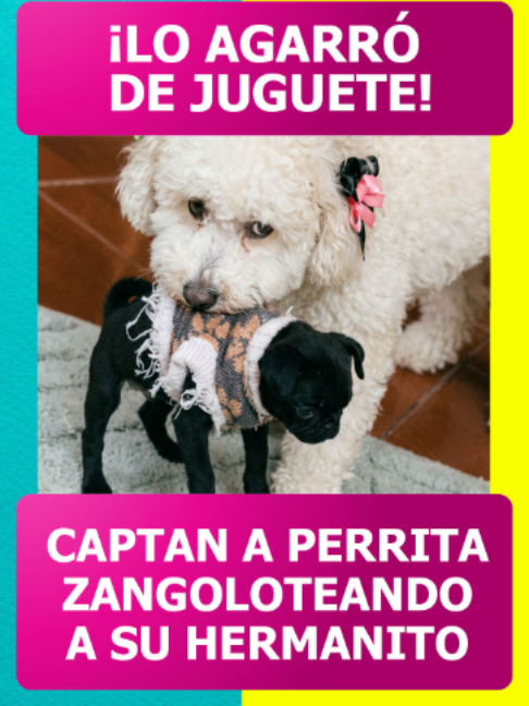 @Revista TVNotas
