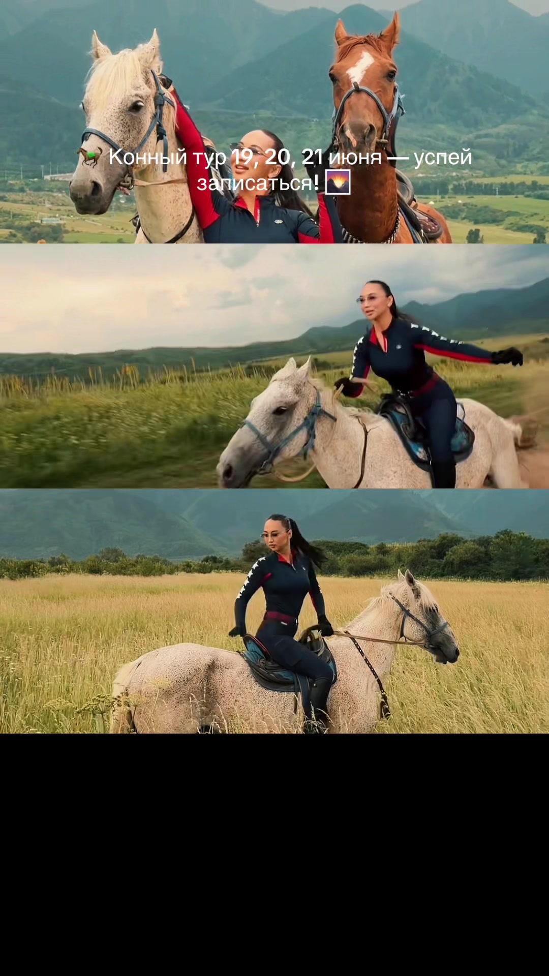 @tulpar_horses