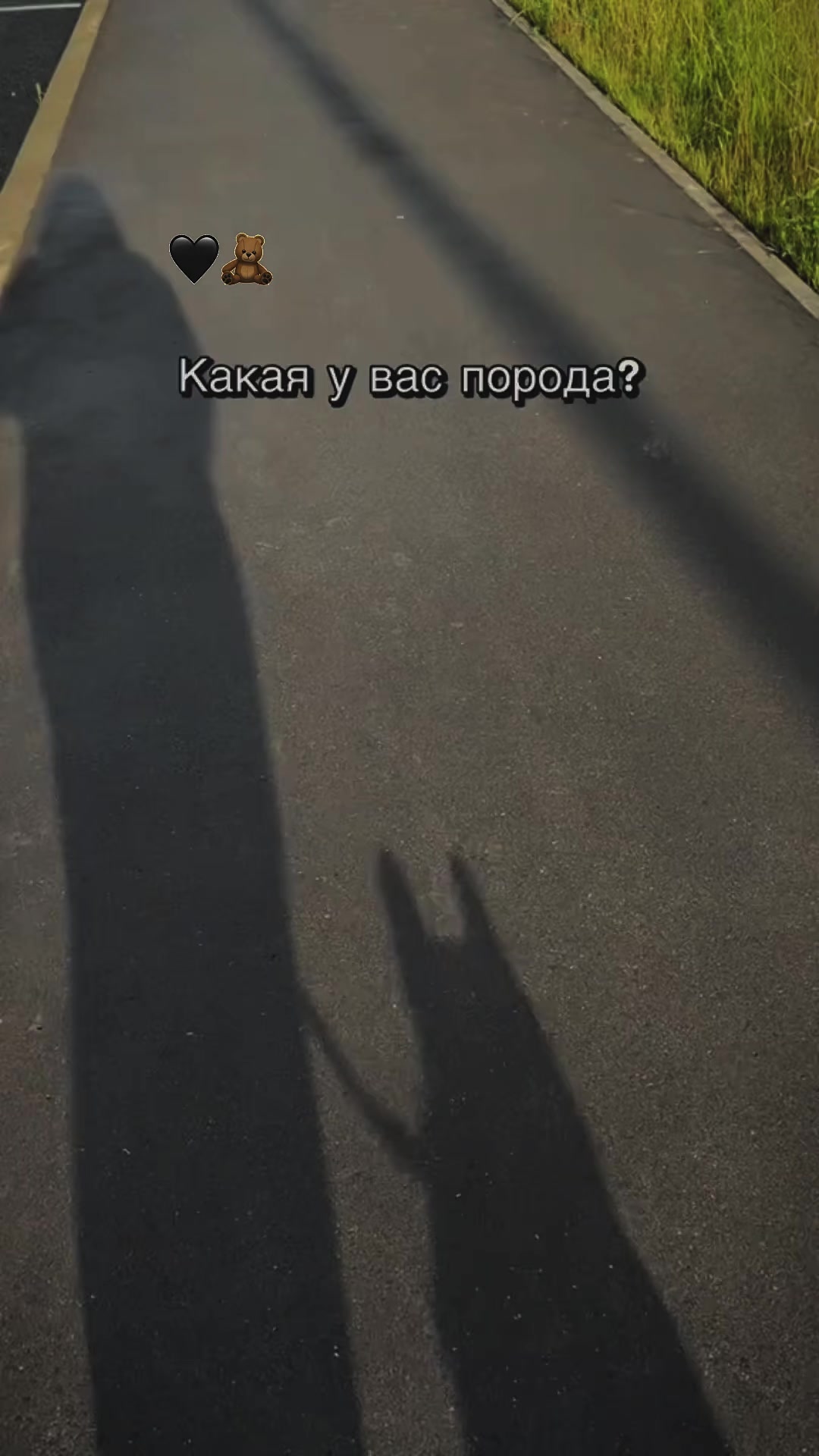 @askorbinka🖤🖤🖤