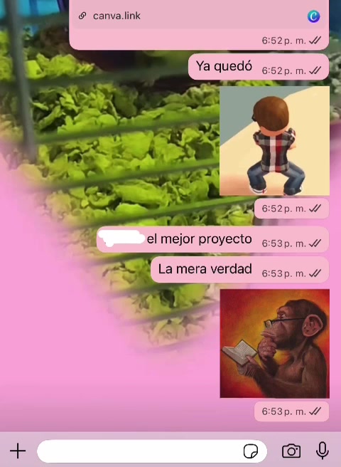 @ginxxx