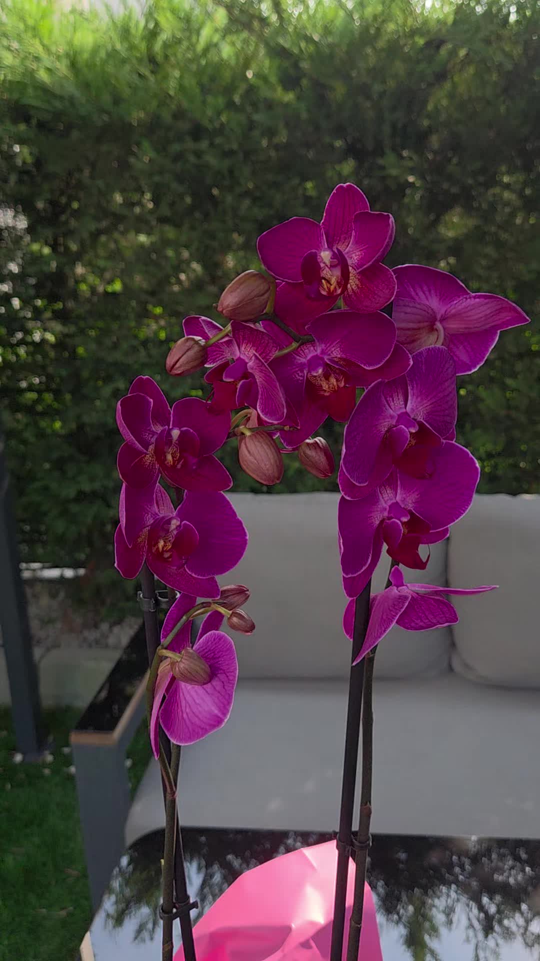 @💧&Ccedil;i&ccedil;ek dostu 🇹🇷💧