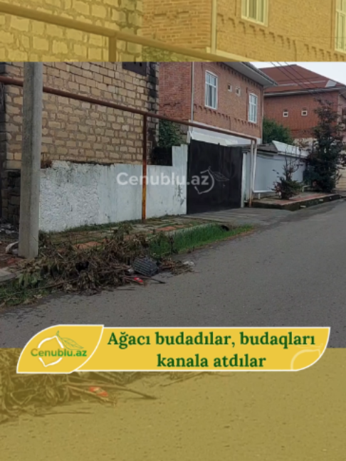 @Cenublu Az