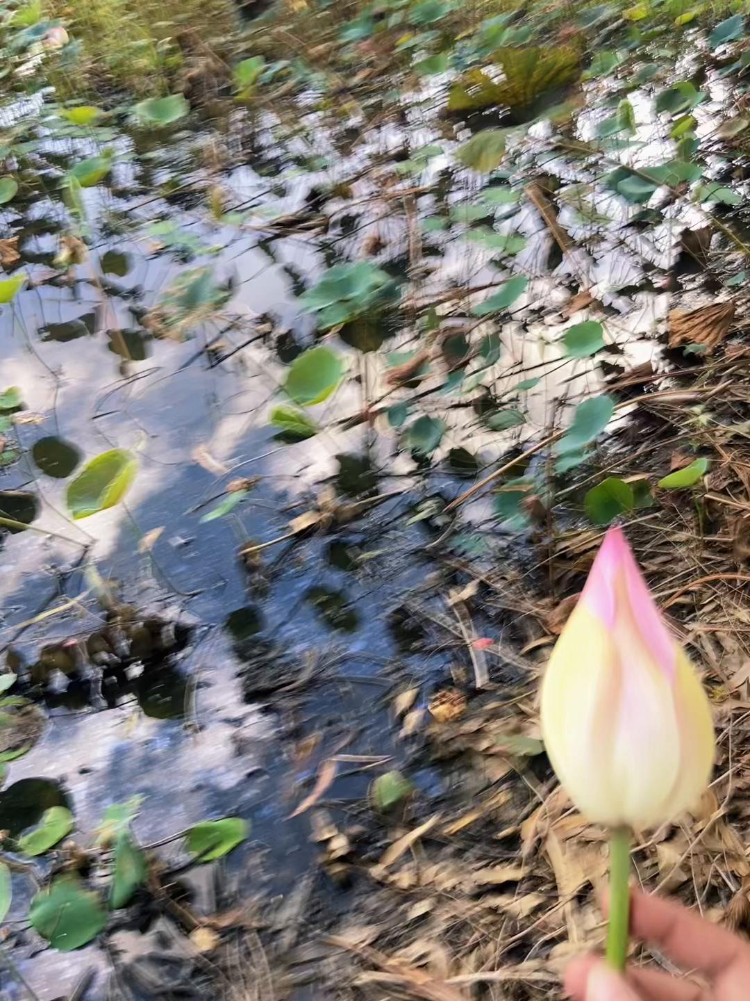 @Sak - សាក់ 👑🤍