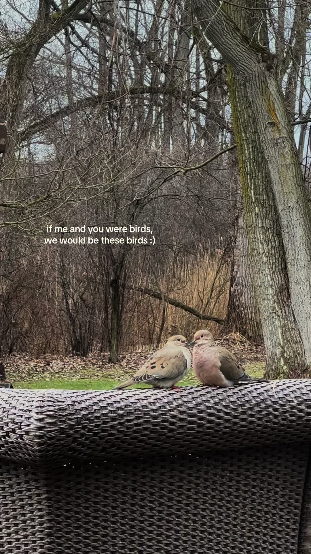 @jayekriesch