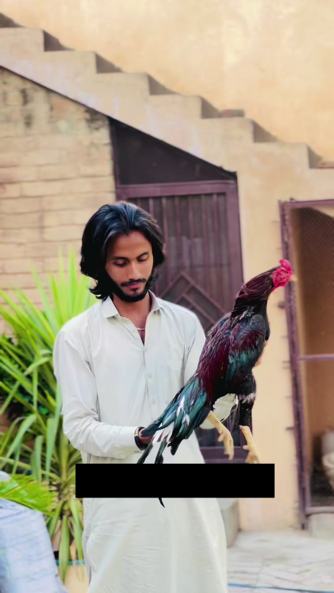 @👑عثمان اصیل 👑