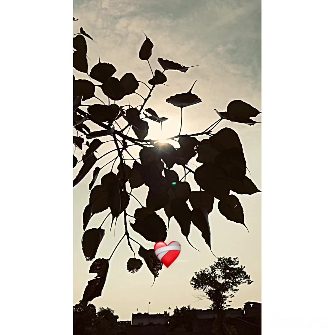 @پنجاب ❤️🩹