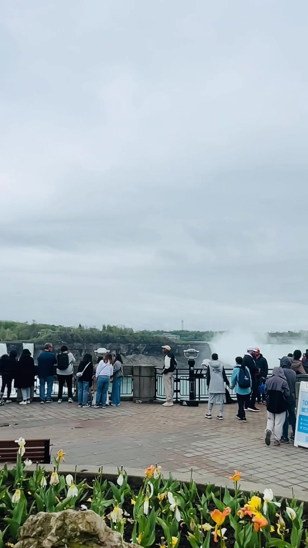 @Aliproduction_Canada🇨🇦
