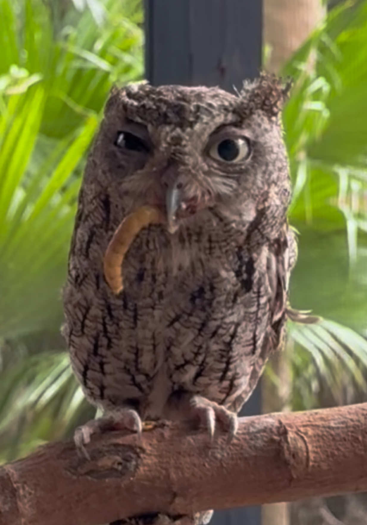 @Palm Beach Zoo