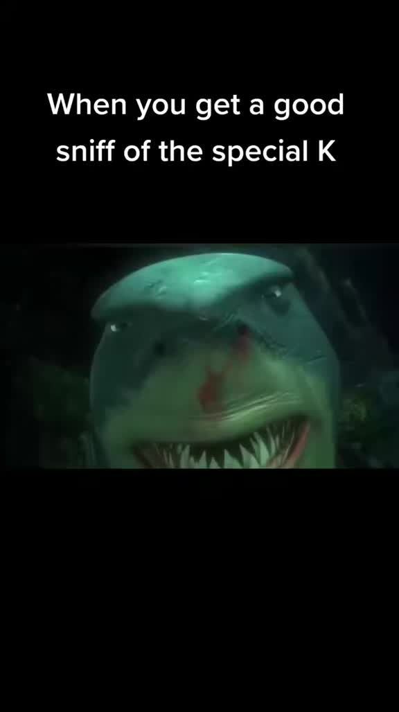 @Megan McDDDD