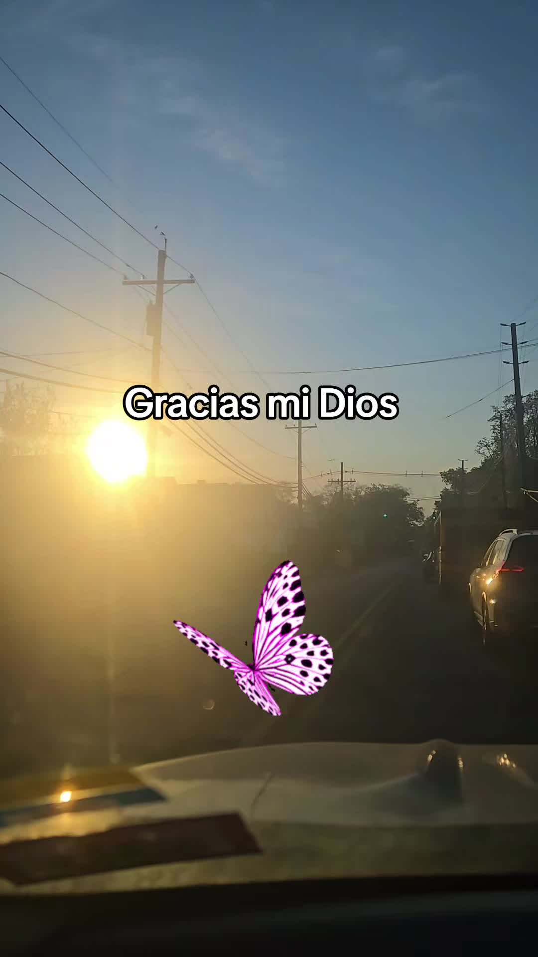 @Anneris