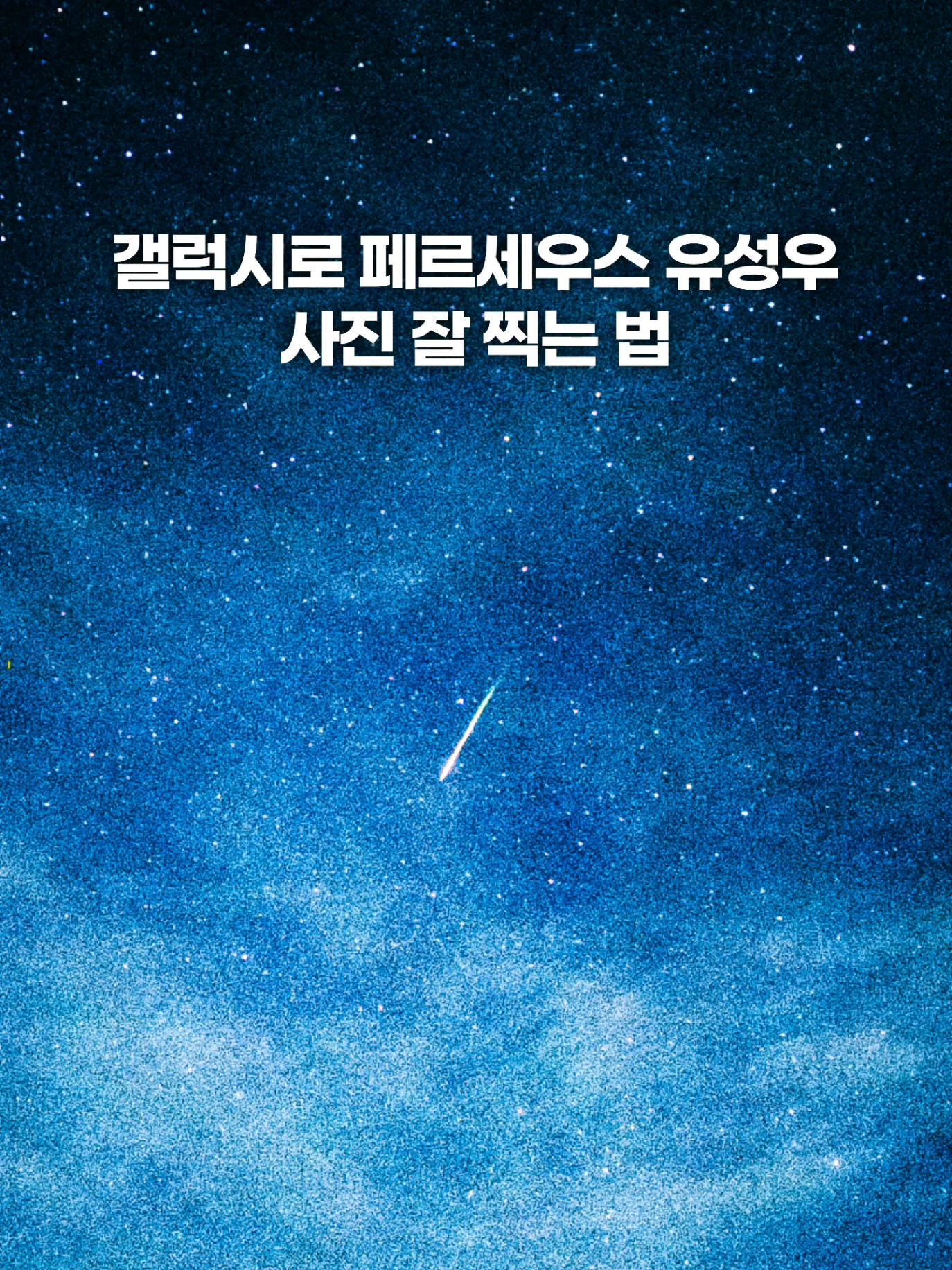 @주니웨어 주니