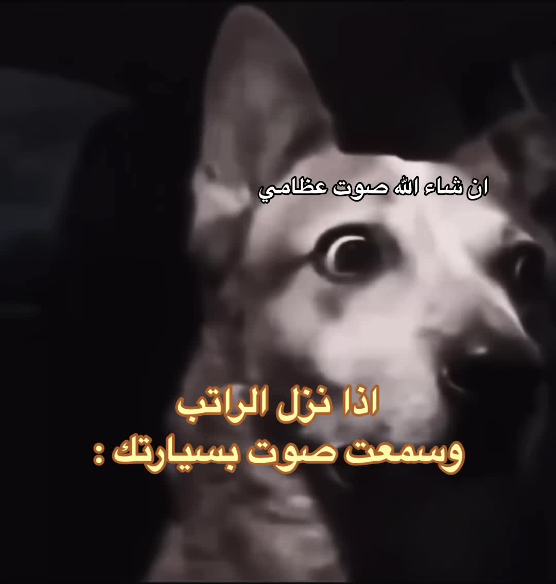 @محمدوڤ 🇸🇦
