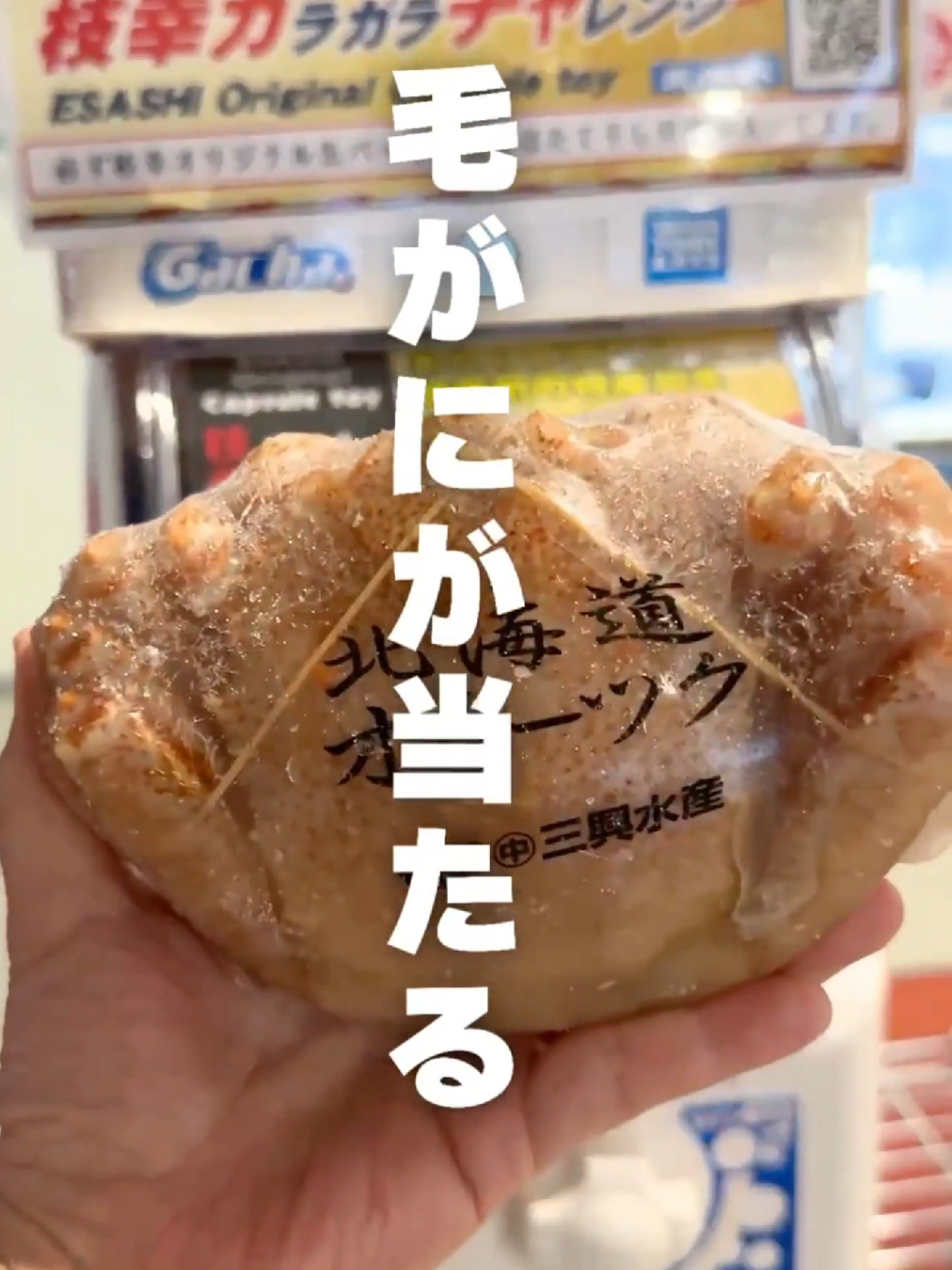 @えさっしーちゃんねる【枝幸町観光協会】