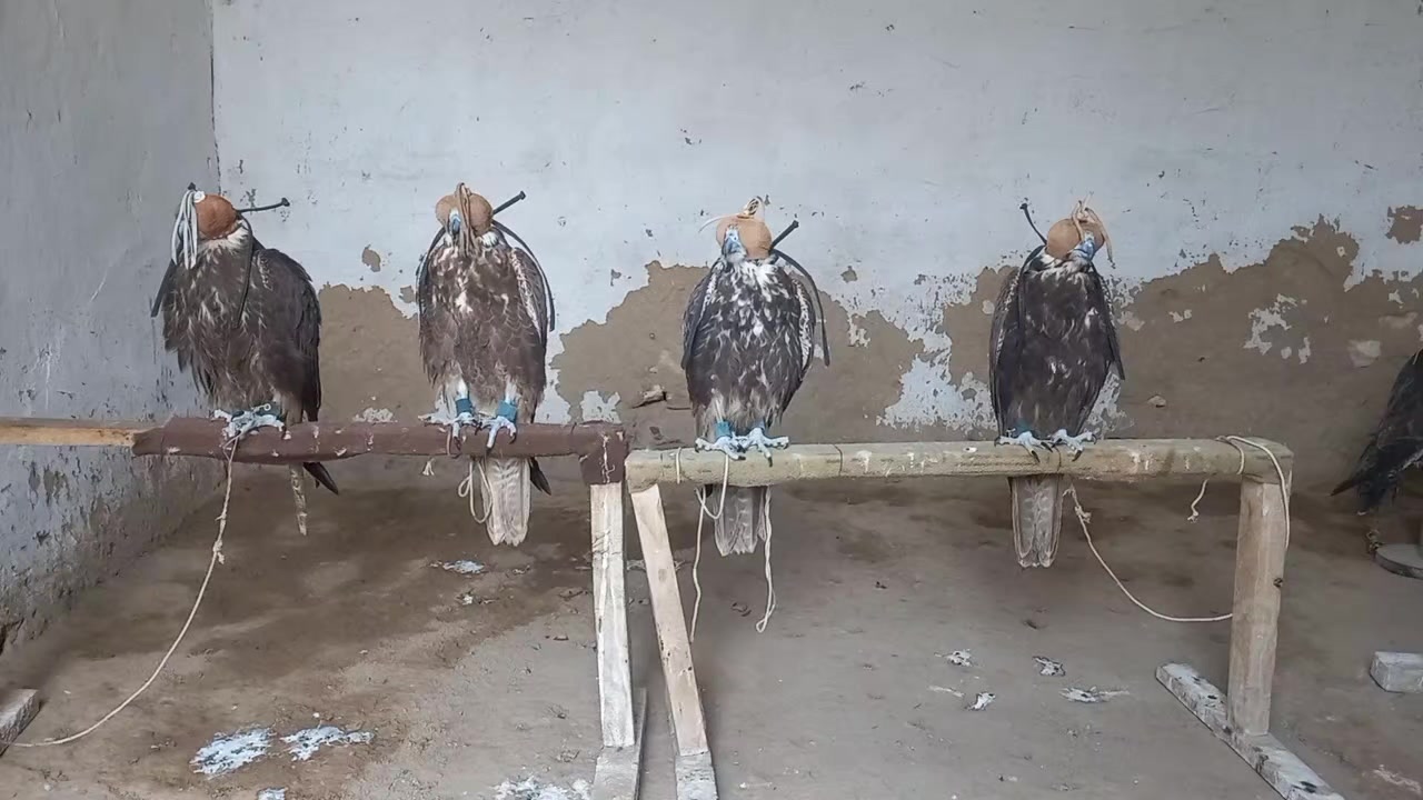 @🦅Hunter Zehri🪶
